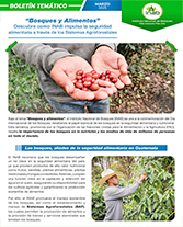 PORTADA_WEB_-_Boletín_día_bosques.jpg